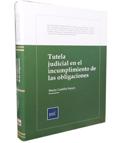 TUTELA JUDICIAL EN EL INCUMPLIMIENTO DE LAS OBLIGACIONES