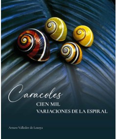 CARACOLES