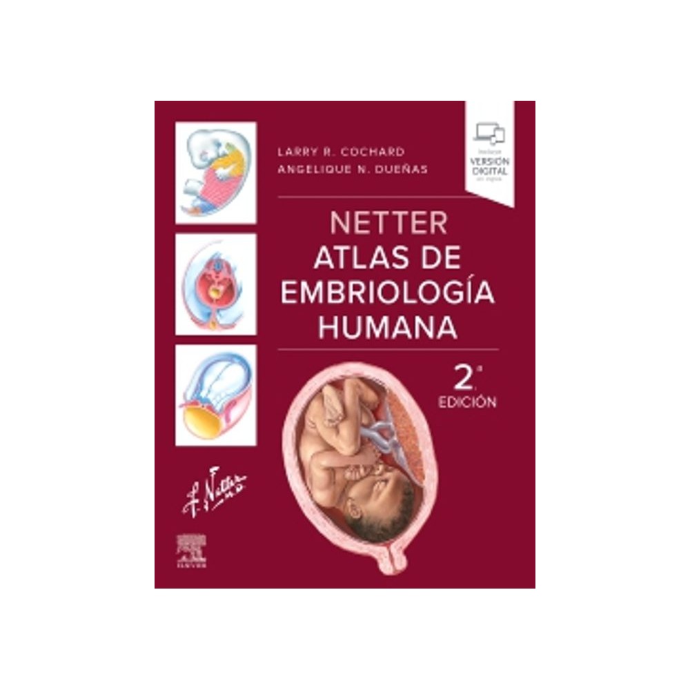 NETTER ATLAS DE EMBRIOLOGÍA HUMANA