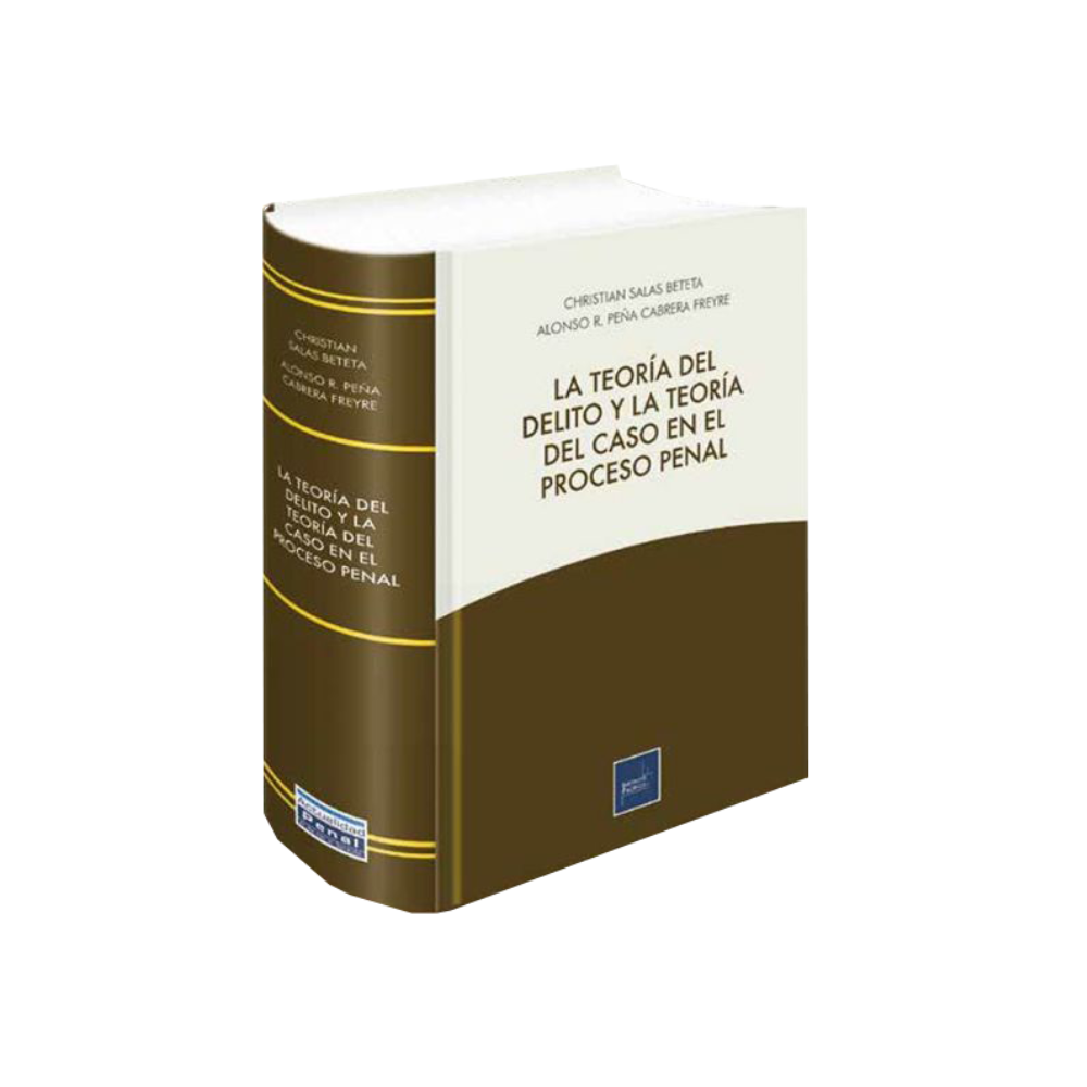LA TEORÍA DEL DELITO Y LA TEORÍA DEL CASO EN EL PROCESO PENAL