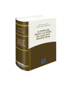LA TEORÍA DEL DELITO Y LA TEORÍA DEL CASO EN EL PROCESO PENAL