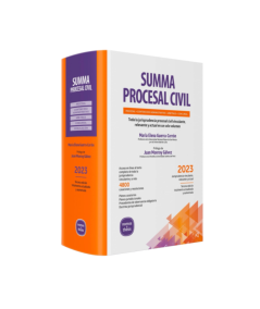 SUMMA PROCESAL CIVIL