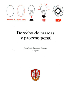 DERECHO DE MARCAS Y PROCESO PENAL