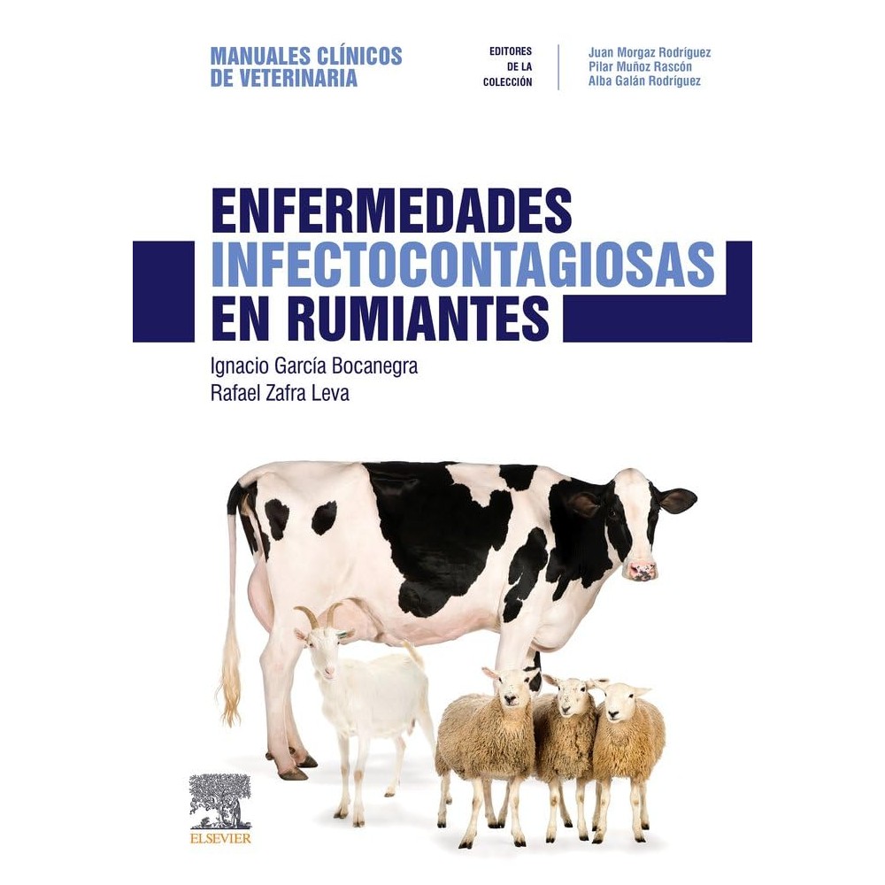 ENFERMEDADES INFECTOCONTAGIOSAS EN RUMIANTES
