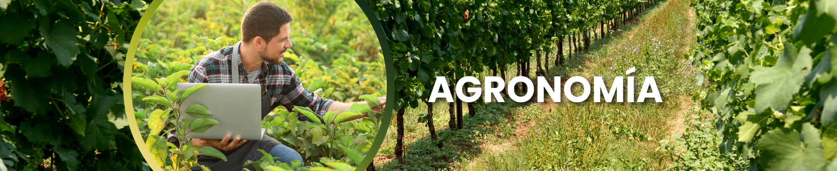 Agronomía - Forestales