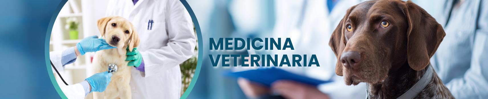 Medicina Veterinaria