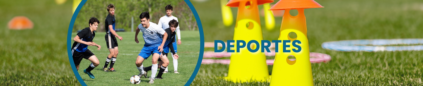 Educación Física - Deportes